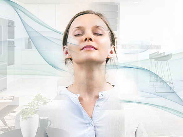 [Translate to Nederlands:] 