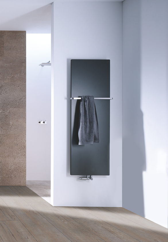 Rendering Zehnder Fina Lean Bar Decorative radiator 